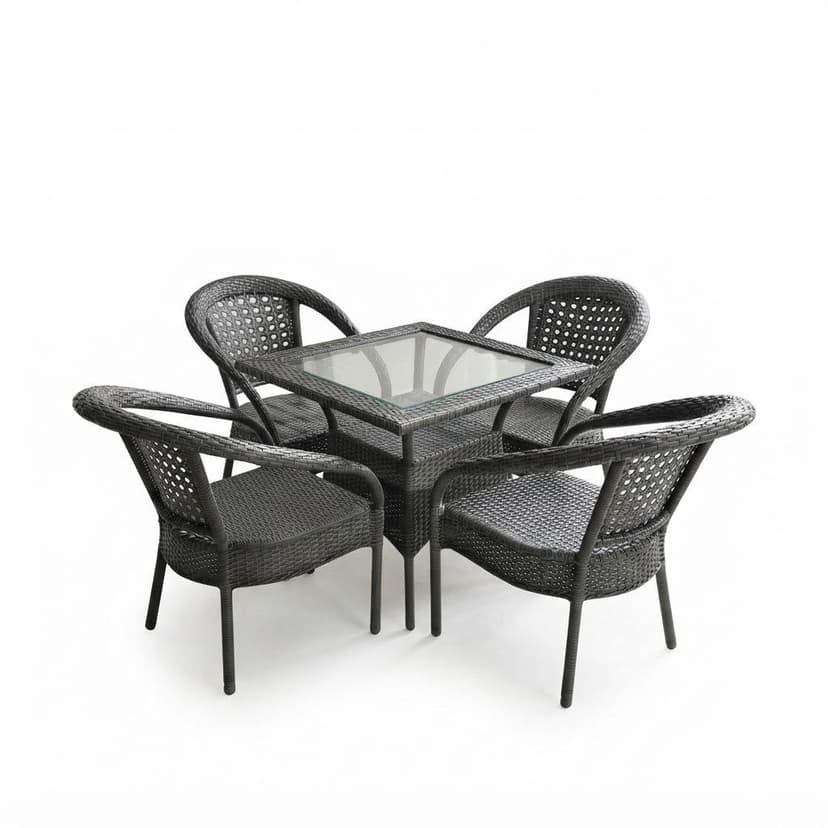 Chair Table Set 4+1 (4chair 1table)