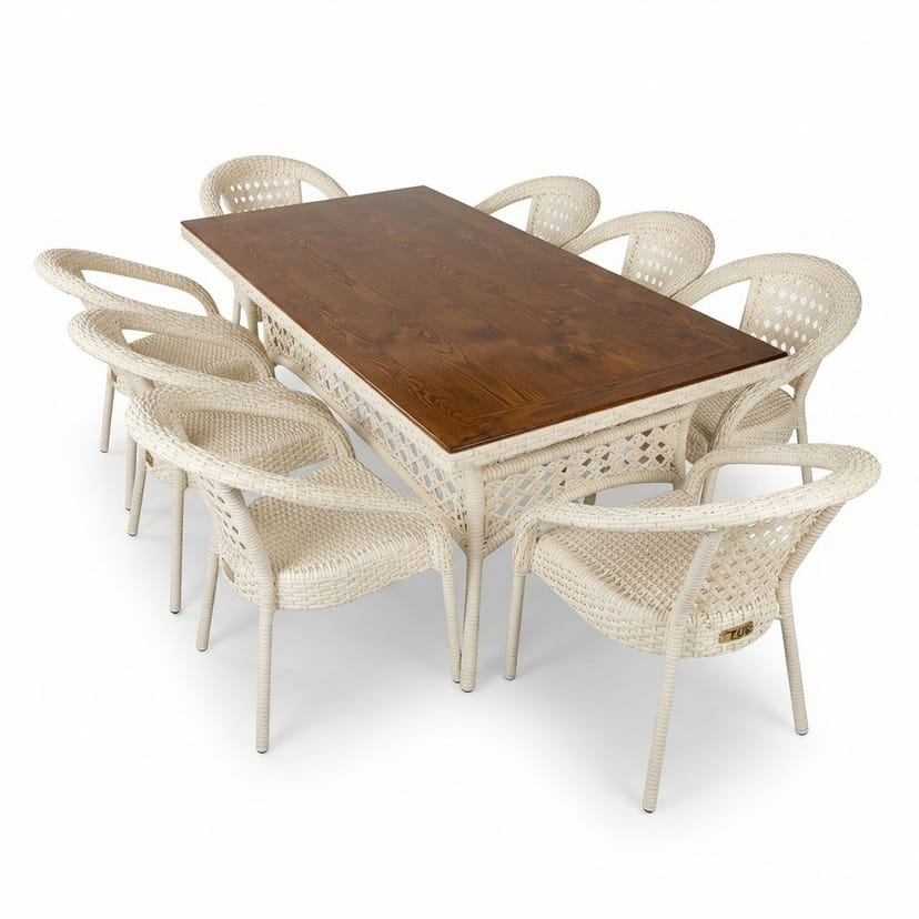 Chair Table Set 8+1 (8chair 1table) - Image 1